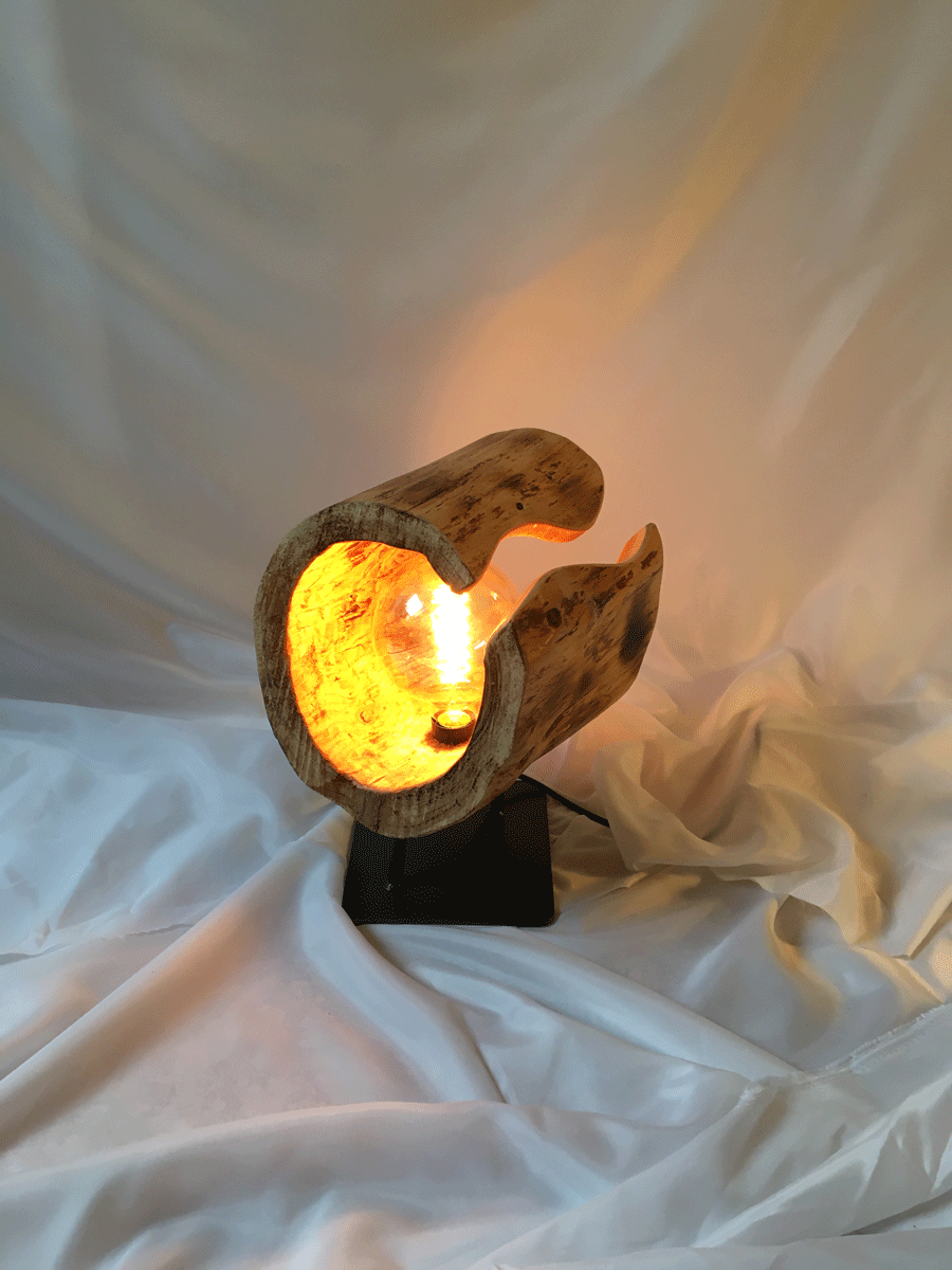 Kunst. Lampe kombiniert mit Holz. Atelier Grillo